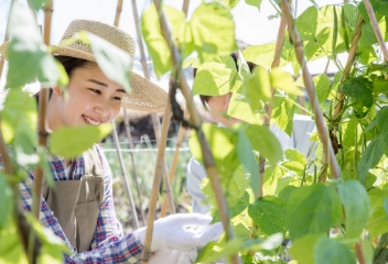 農作業の補助写真